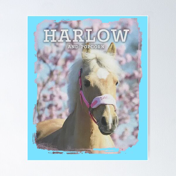 harlow and popcorn Poster RB1212 product Offical harlowandpopcorn Merch